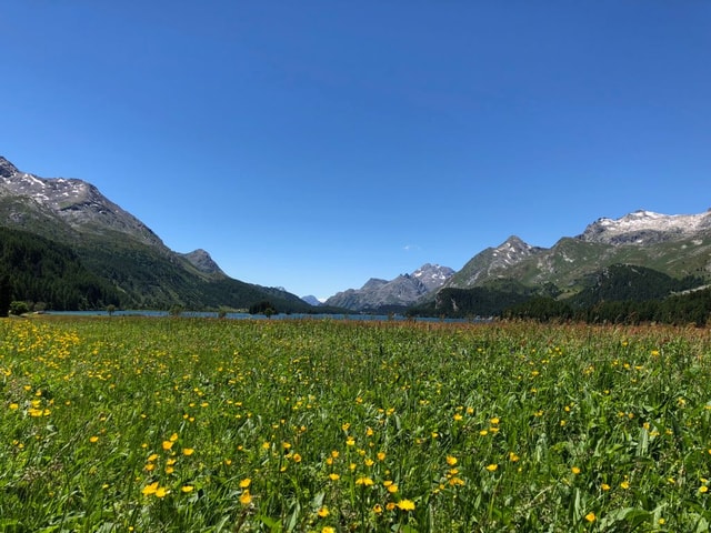 Frühlingswanderung Engadin Graubünden