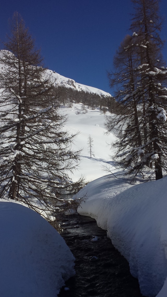Skifahren Engadin St. Moritz