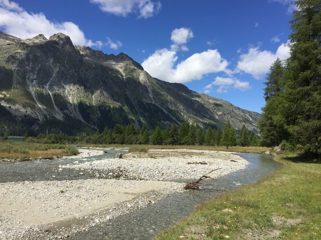 Sommerlandschaft Engadin Bergsee