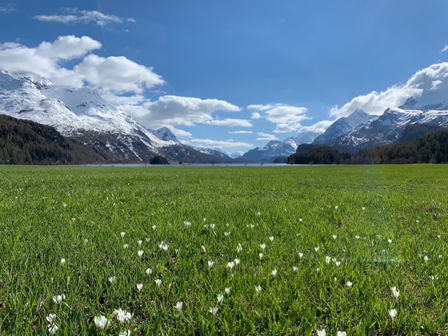 Frühling Engadin Landschaft Sils Maria