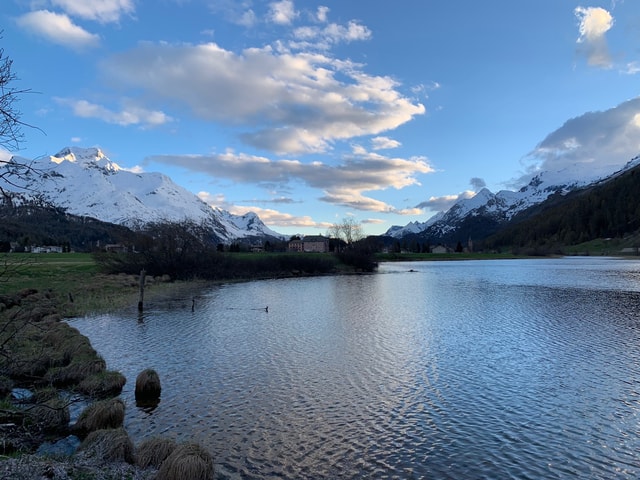 Bergfrühling Sils Maria Natur