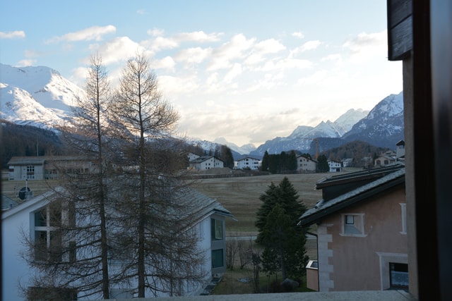 Frühlingsblüte Engadiner Berge Wandern