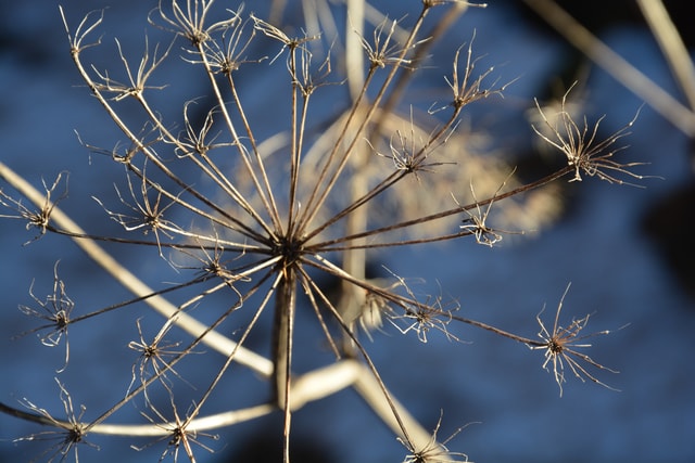 Herbstwanderung Oberengadin