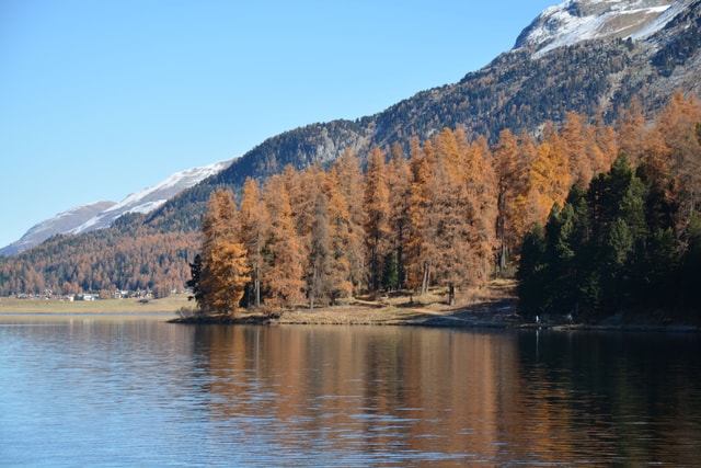 Wandern Herbst Engadin